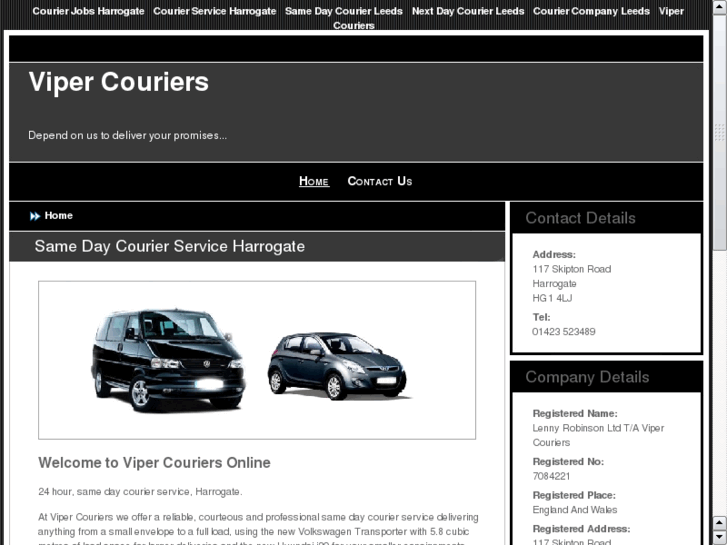 www.vipercouriers.com