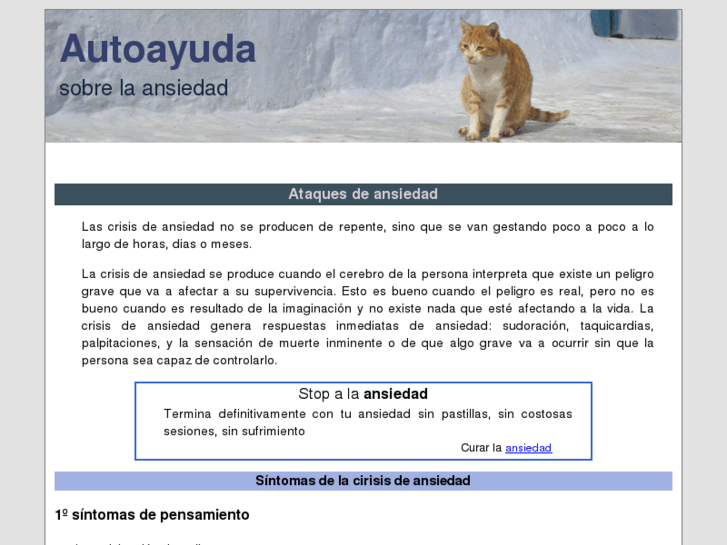 www.ataques-ansiedad.com