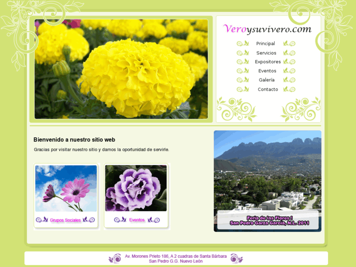 www.veroysuvivero.com
