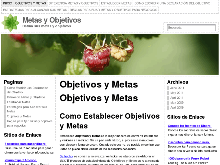 www.objetivosymetas.com