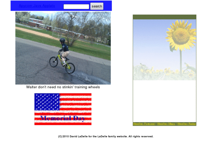 www.theladelles.com
