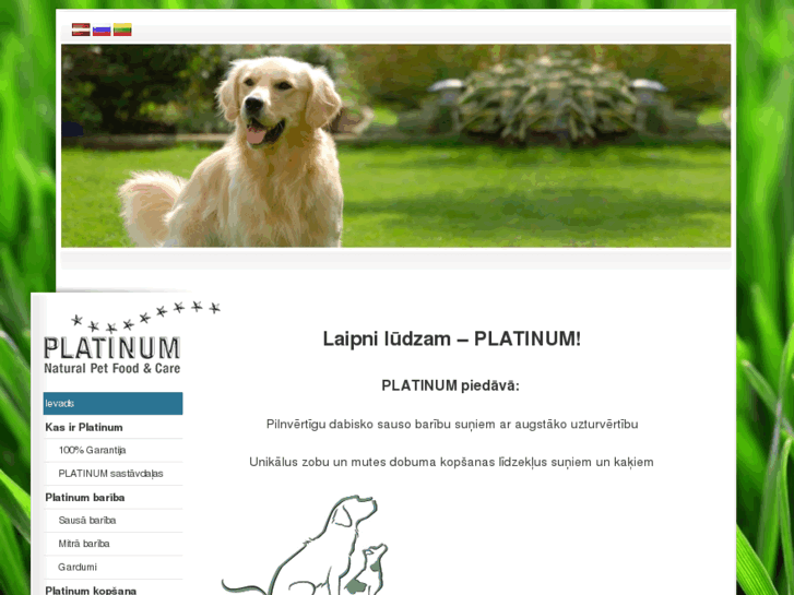www.platinum.lv