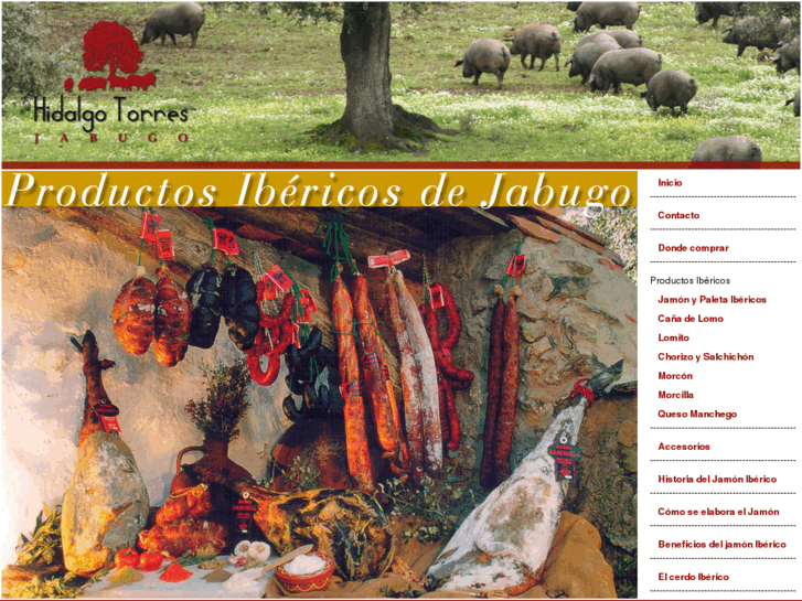 www.hidalgotorres.com
