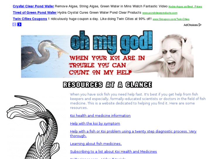 www.koivet.org