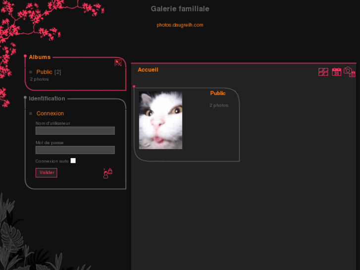 www.daugreilh.com