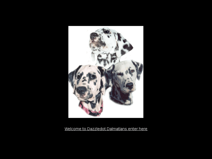 www.dazzledotdalmatians.com