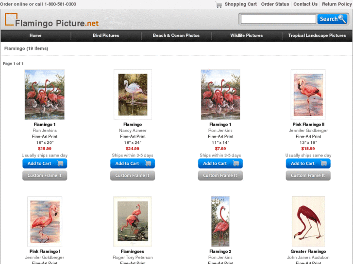 www.flamingopicture.net