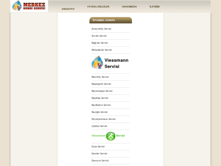 www.viessmankombiservisi.com