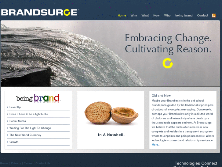 www.brandsurge.com