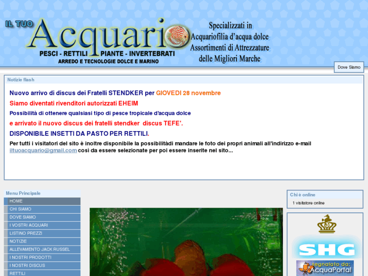 www.iltuoacquario.com