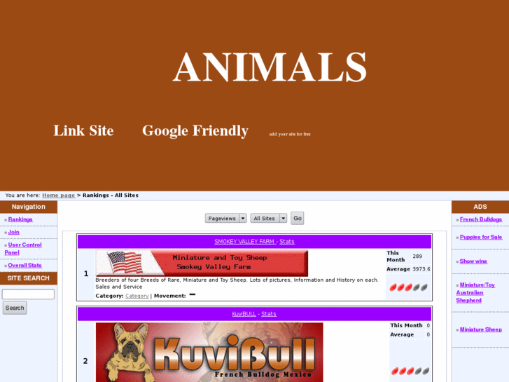 www.fr-bulls.com