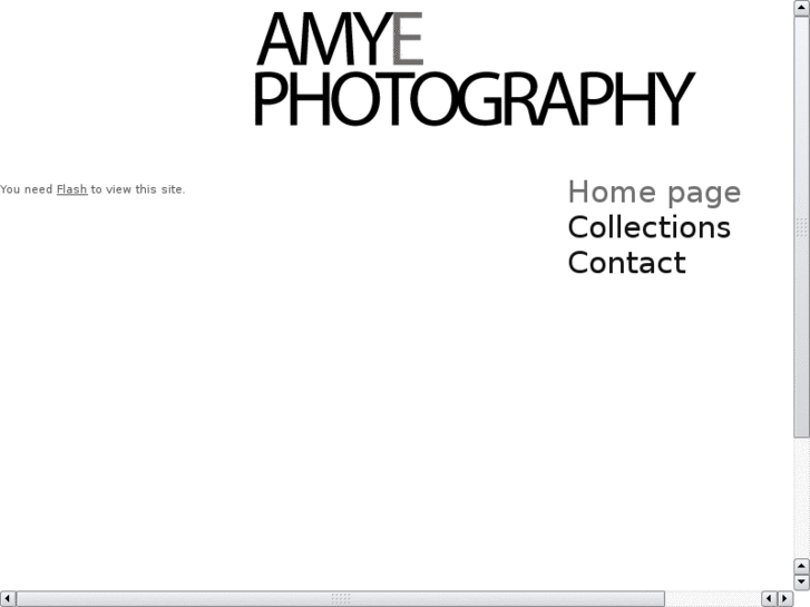 www.amy-photography.com
