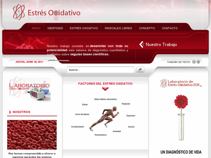 www.estresoxidativo.com
