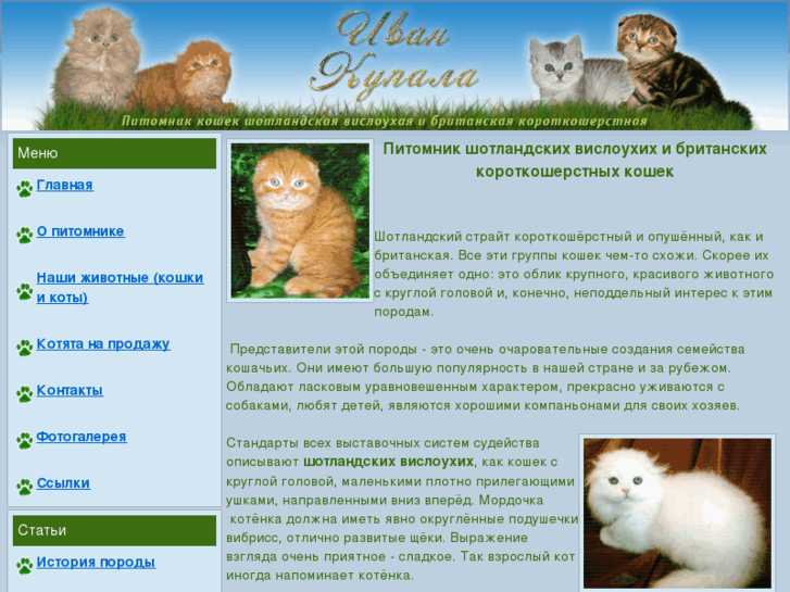 www.ivan-cats.ru