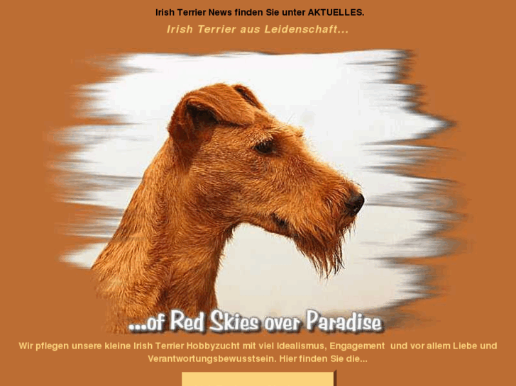 www.terrier-irish.de