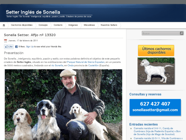 www.setter.es
