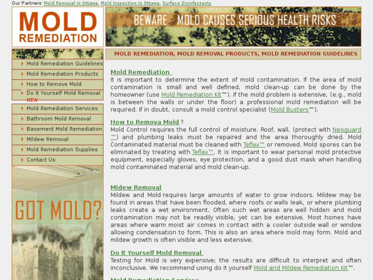 www.remediationmold.com