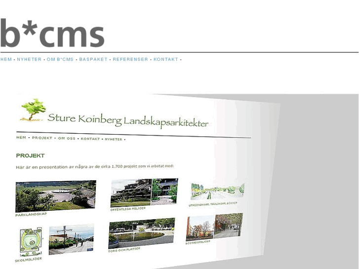 www.b-cms.com