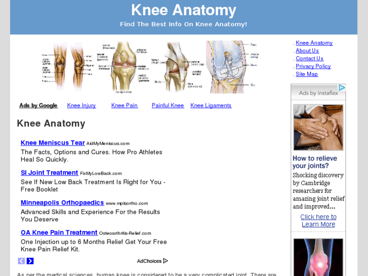 www.kneeanatomy.org