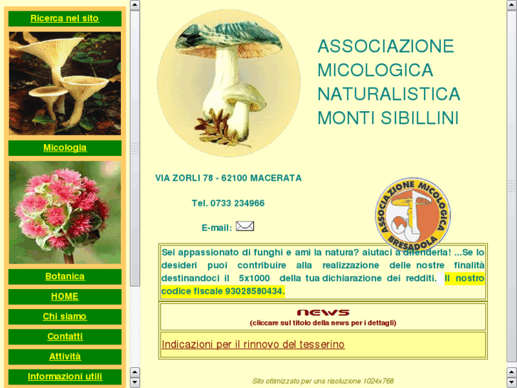 www.assms.it