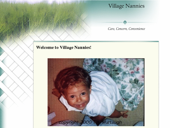 www.villagenannies.com