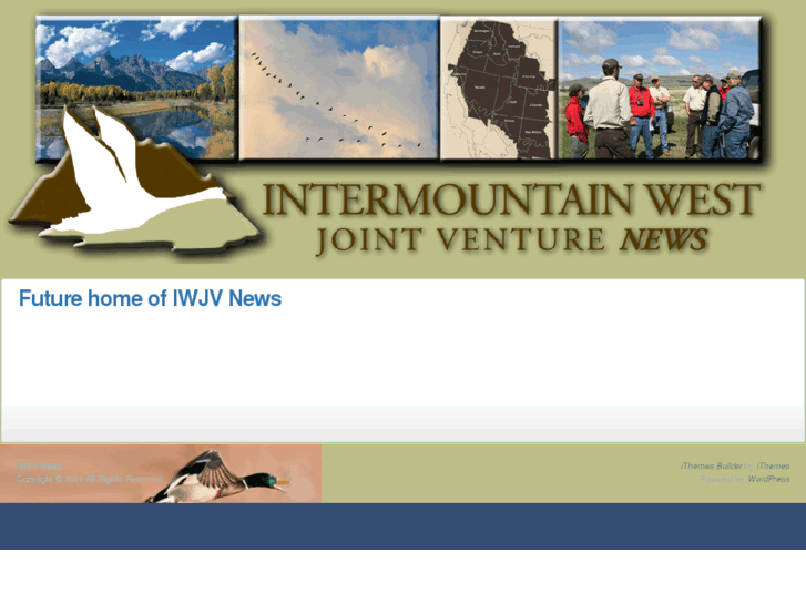 www.iwjv.net