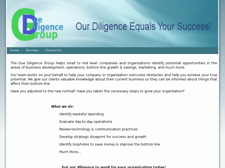 www.theduediligencegroup.net