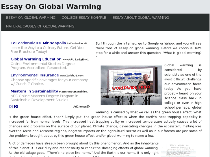 www.essayonglobalwarming.com