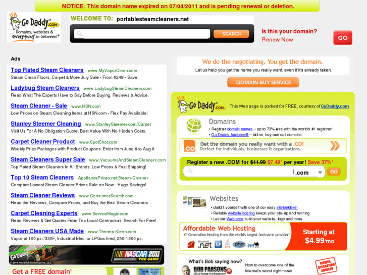 www.portablesteamcleaners.net