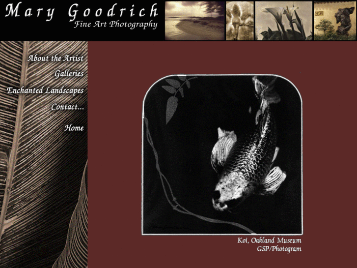 www.marygoodrich.com