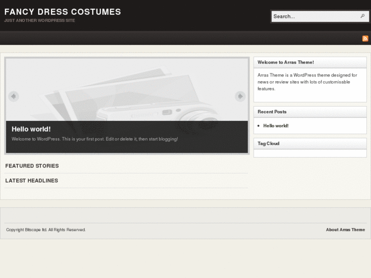 www.fancy-dress-costumes.net