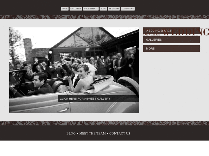www.stephendevriesweddings.com