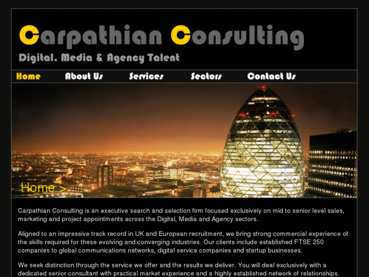 www.carpathianconsulting.com