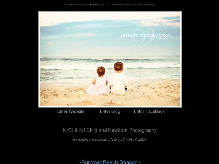 www.christinedesavino.com