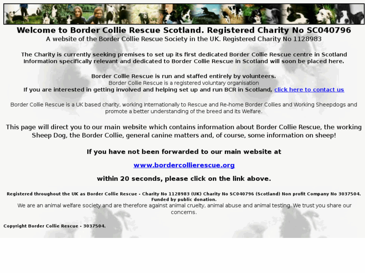 www.bordercollierescuescotland.org