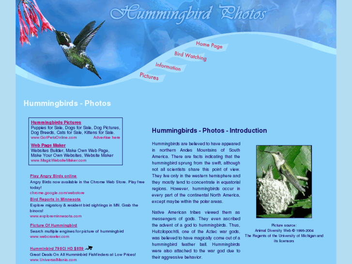 www.hummingbird-photos.com
