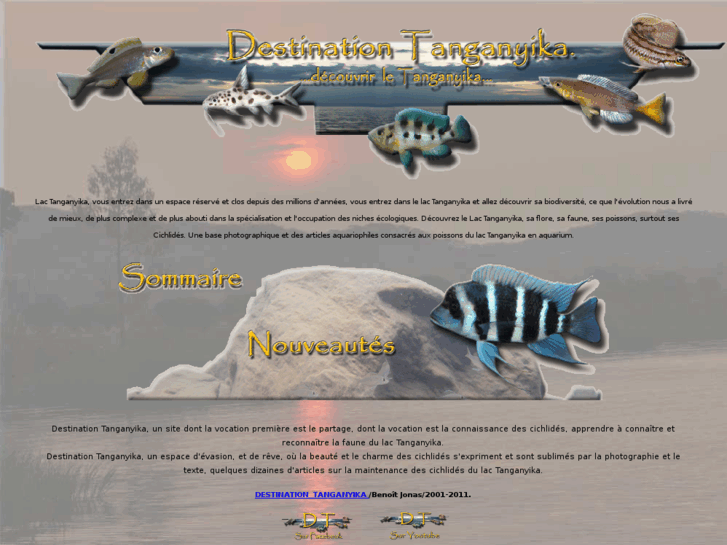www.destin-tanganyika.com