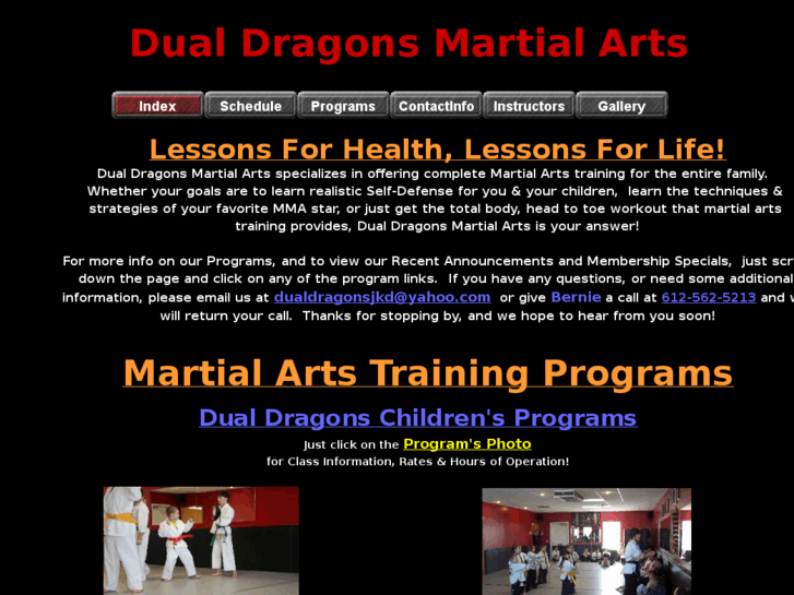 www.dualdragonsmartialarts.com