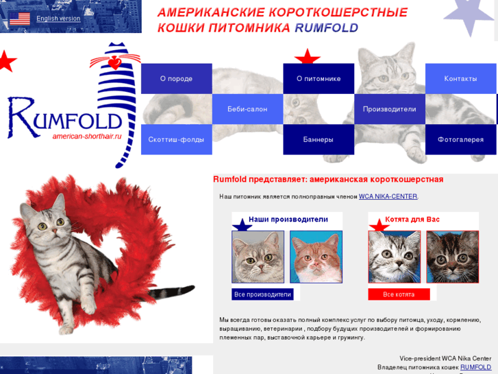 www.american-shorthair.ru