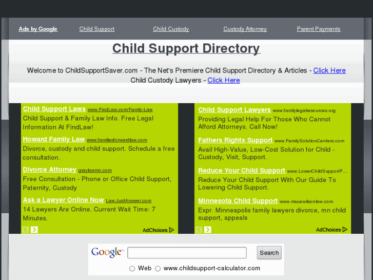 www.childsupportsaver.com