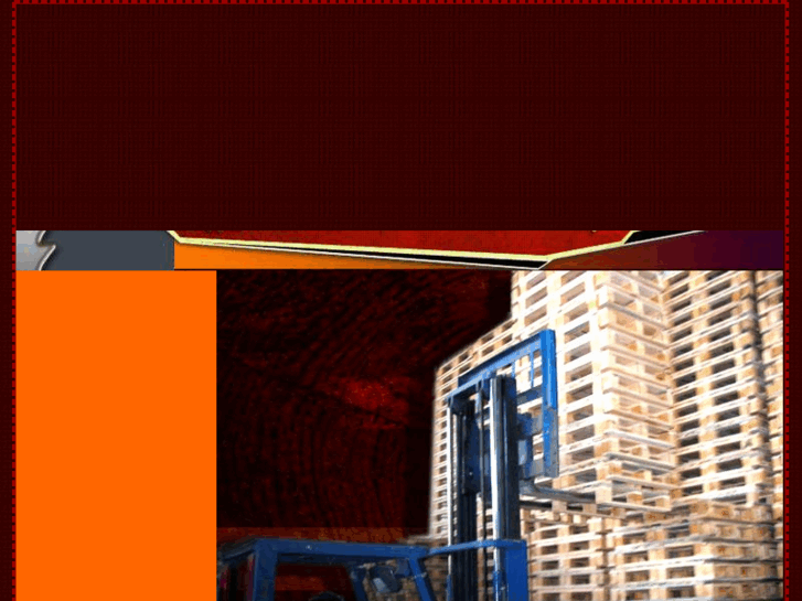 www.basyigit.net