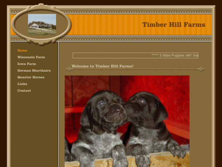 www.timber-hill-farms.com