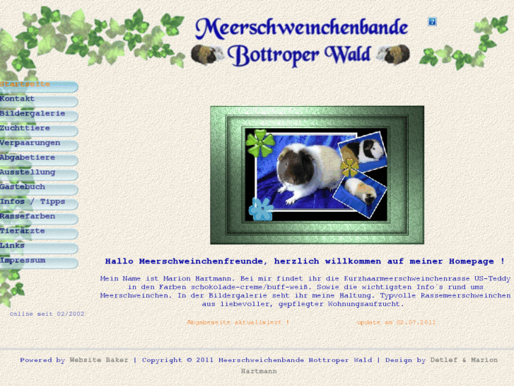 www.meerschweinchen-bottrop.de