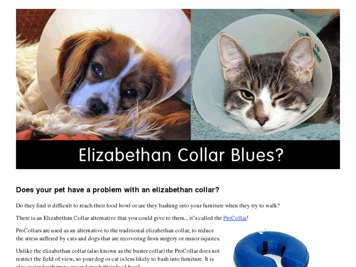www.elizabethancollar.co.uk