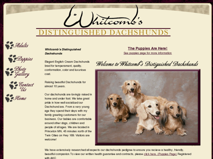 www.whitcombsdachshunds.com