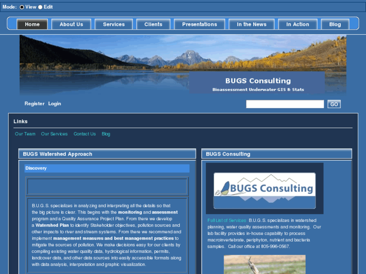 www.bugsconsulting.com