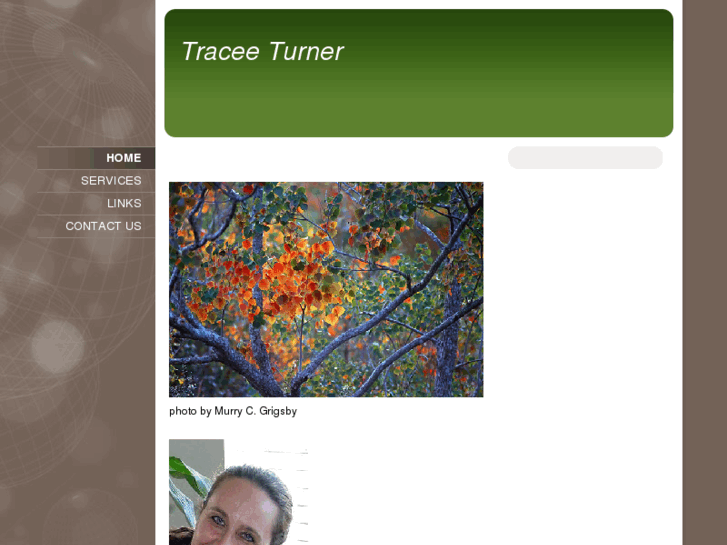 www.traceeturner.com