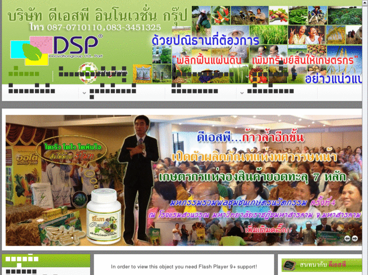 www.dspinnovation.com
