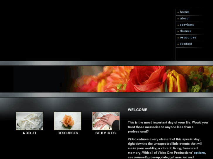 www.videoonepro.com
