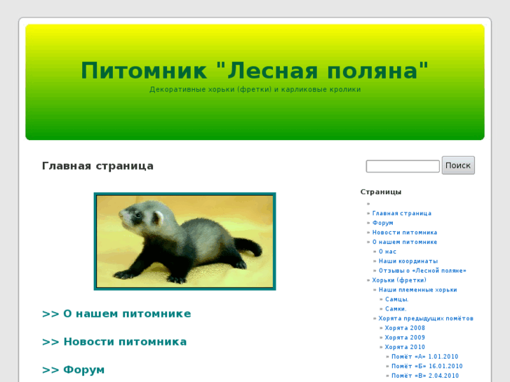 www.ferret-ua.com